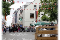 2017-DormagenSchützenfest (20)